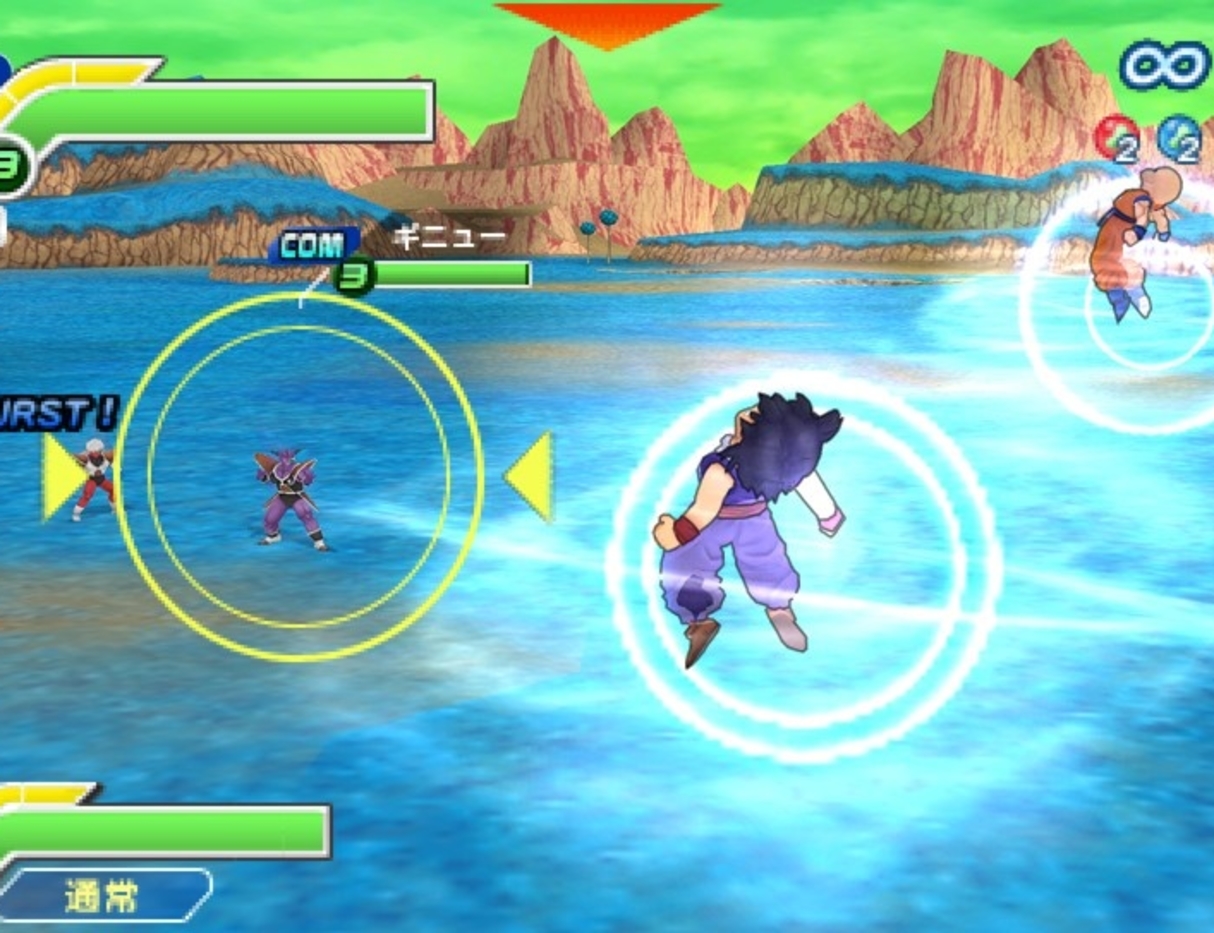 Tenkaichi Tag Group Evaluation