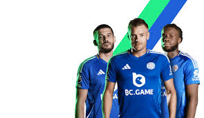 Explore the Thrills of BC Game Casino A Guide to Online Gaming