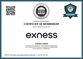 Discovering the Benefits of Trading with Exness Morocco