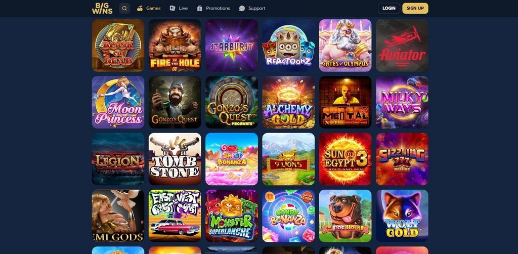 BigWins Online casino 2025