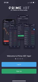 Discover the Power of PrimeXBT Trader Your Gateway to Cryptocurrency Trading