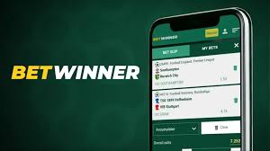In-Depth Reviews About BetWinner User Experiences and Insights